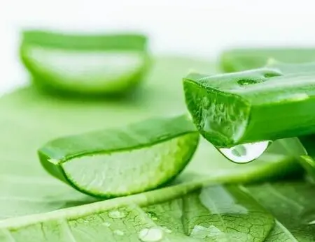 Why Aloe Vera Freeze Dried Powder is a Cosmetic Game-Changer